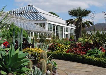 Birmingham Botanical Gardens and Glasshouses West Midlands - Second Image Birmingham Botanical Gardens and Glasshouses West Midlands - Second Image