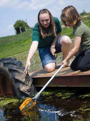 Bickley Hall Farm Wildlife Discovery Centre Cheshire - Third Image Bickley Hall Farm Wildlife Discovery Centre Cheshire - Third Image