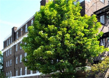 TravelStay Hammersmith Rooms Accommodation London - Main Image