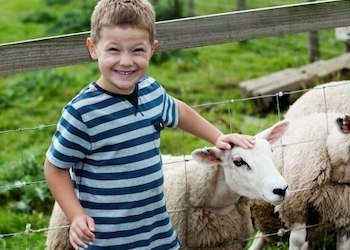 National Forest Adventure Farm Staffordshire - Main Image