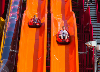GreenWood Forest Adventure Park North Wales - Second Image GreenWood Forest Adventure Park North Wales - Second Image
