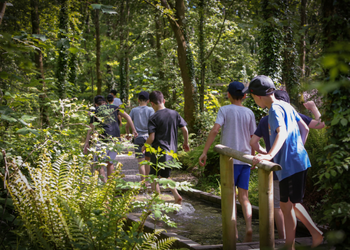 GreenWood Forest Adventure Park North Wales - Main Image