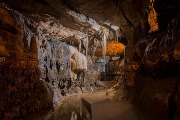 Ingleborough Cave & Ingleborough Estate Nature Trail Yorkshire Dales - Main Image Ingleborough Cave & Ingleborough Estate Nature Trail Yorkshire Dales - Main Image