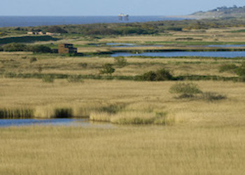 RSPB Minsmere Nature Reserve - Second Image RSPB Minsmere Nature Reserve - Second Image