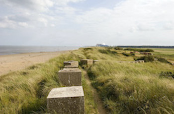 RSPB Minsmere Nature Reserve - Third Image RSPB Minsmere Nature Reserve - Third Image