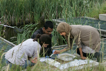 RSPB Minsmere Nature Reserve - Forth Image RSPB Minsmere Nature Reserve - Forth Image