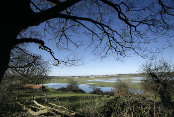 RSPB Medmerry and Pagham and Pulborough Brooks Nature Reserves - Main Image