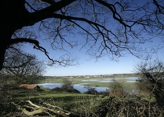 RSPB Medmerry and Pagham and Pulborough Brooks Nature Reserves - Main Image