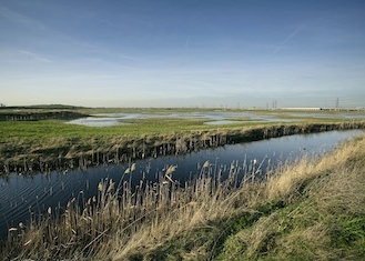RSPB Rainham Marshes Nature Reserve - Main Image