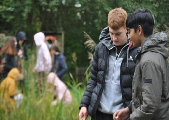 Bishops Wood Field Studies Activity Environment Centre Field Studies Council - Main Image