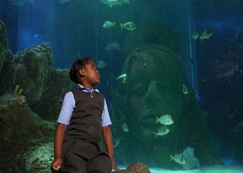 SEA LIFE Manchester - Main Image