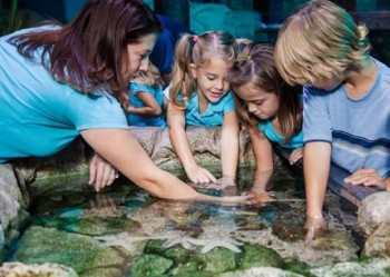SEA LIFE Weymouth Adventure Park and Aquarium - Main Image