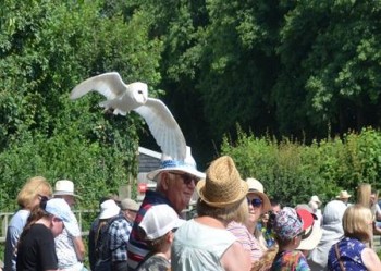 Suffolk Owl Sanctuary & Nature Centre - Main Image