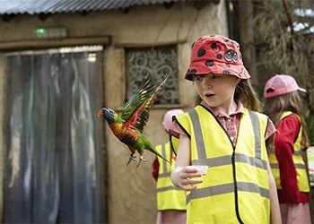 West Midland Safari Park School Trip - Main Image