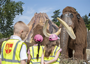 West Midland Safari Park School Trip - Forth Image West Midland Safari Park School Trip - Forth Image