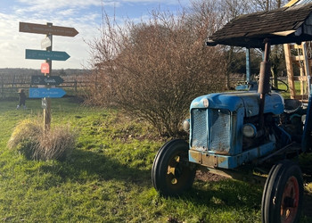 Cholderton Rare Breeds Farm Park and Animal Experiences Salisbury, Wiltshire - Third Image Cholderton Rare Breeds Farm Park and Animal Experiences Salisbury, Wiltshire - Third Image