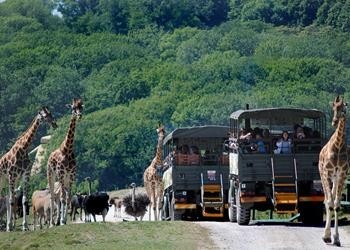 Port Lympne Safari Park Kent - Main Image